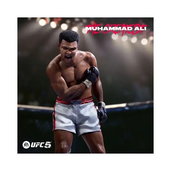 CD – UFC 5 – Jeu PS5 — photo 2