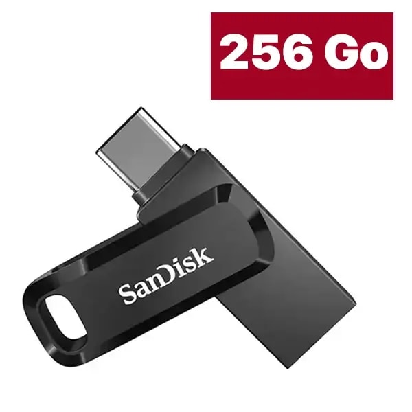 Clé USB SanDisk – Double connectique USB Type-C – Ultra Dual Drive Go – 256GB – SDDDC3-256G-G46 – Noir — photo 1